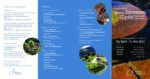 Vorschau des Datei-Downloads