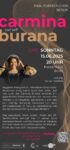Vorschau des Datei-Downloads