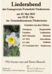 Vorschau des Datei-Downloads