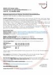 Vorschau des Datei-Downloads