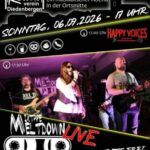 Vorschau des Datei-Downloads