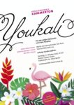Vorschau des Datei-Downloads